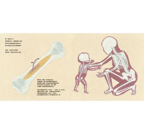 骨之旅：從海洋到陸地，看見人類與萬物的演化關係